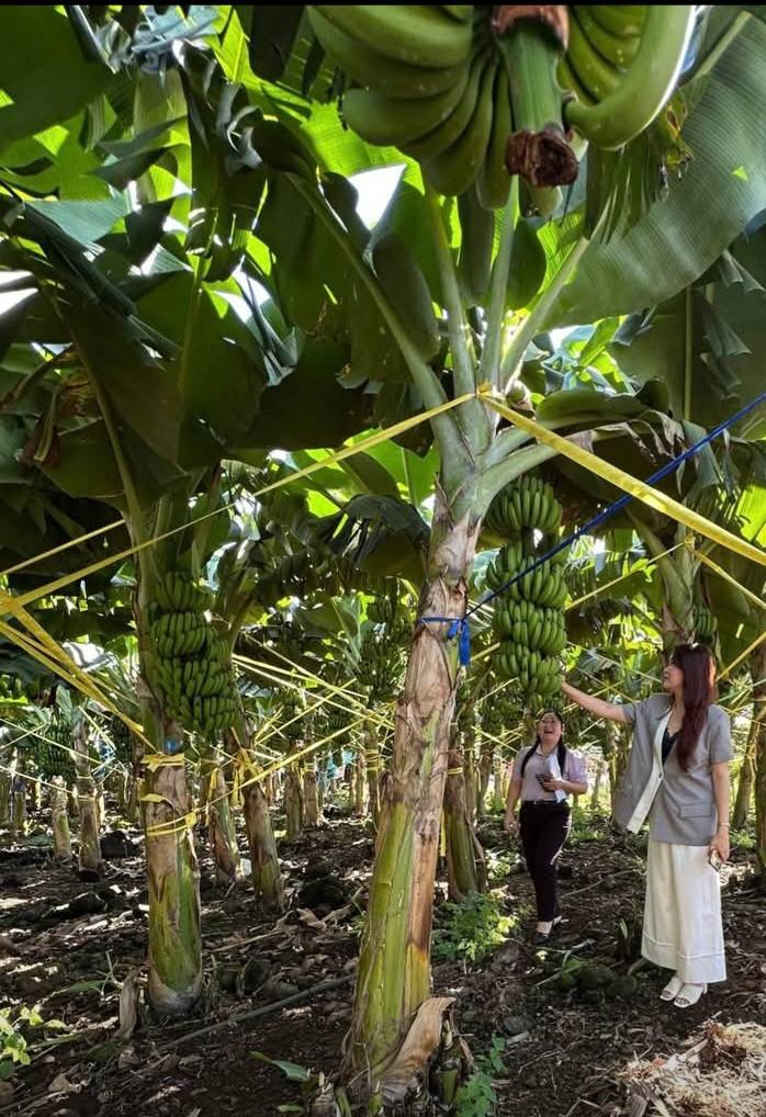 621836820 892606373159935 2923735259263345029 n