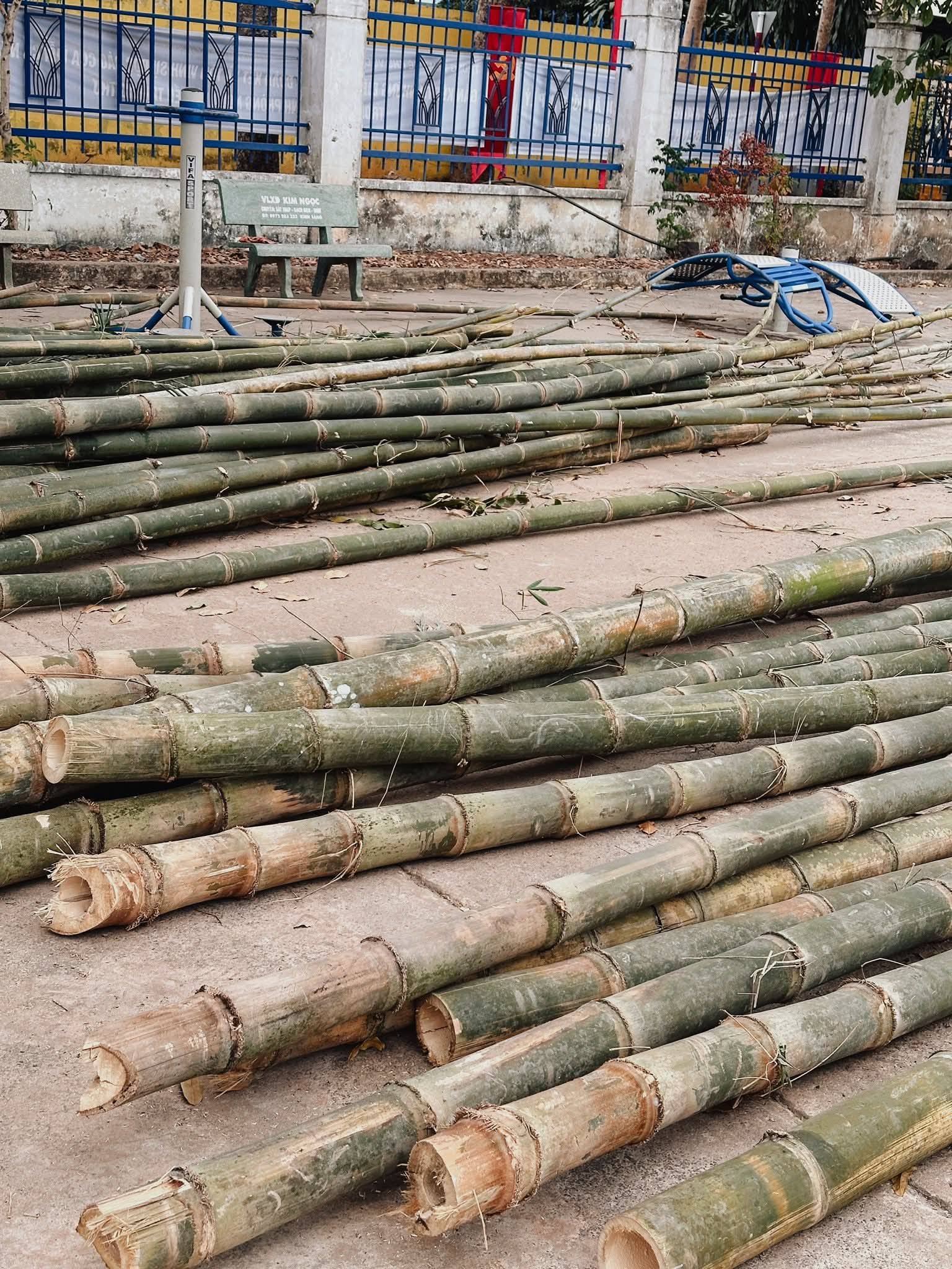 642752783 122163552302921298 5407419482065592280 n